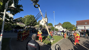 IMG 4016
