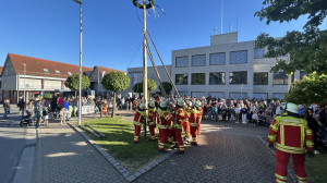 IMG 4022